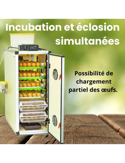 Couveuse automatique Cimuka CT180SH