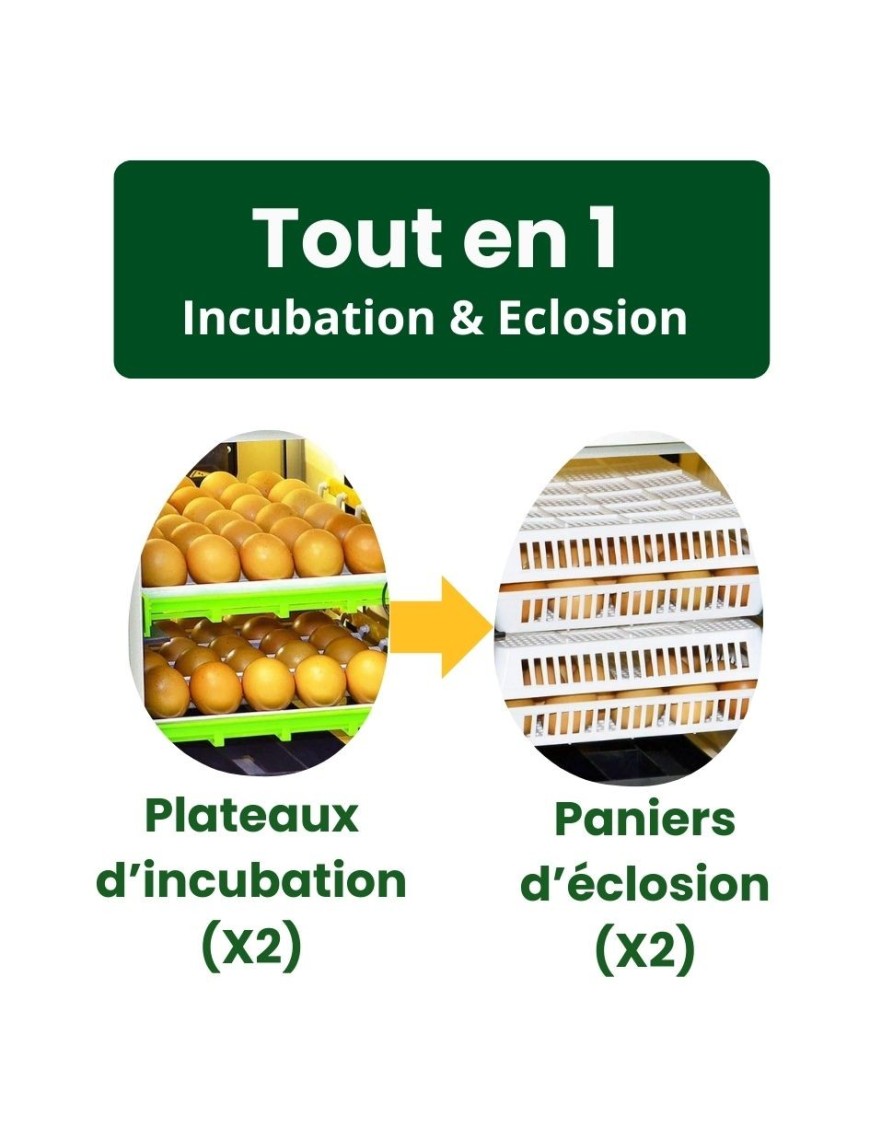 Couveuse automatique Cimuka CT60SH