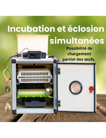 Couveuse automatique Cimuka CT60SH