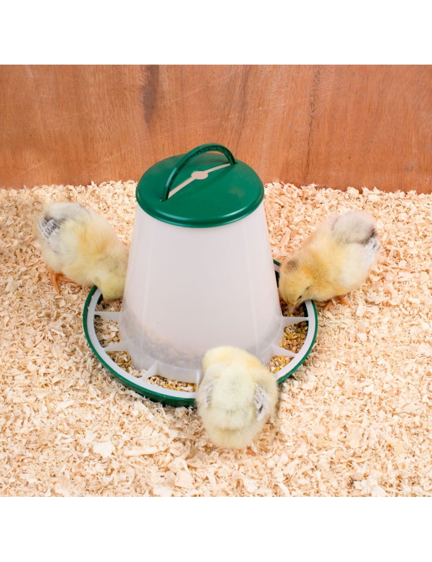 Mangeoire poule et poussin silo anti-gaspillage 6 kg