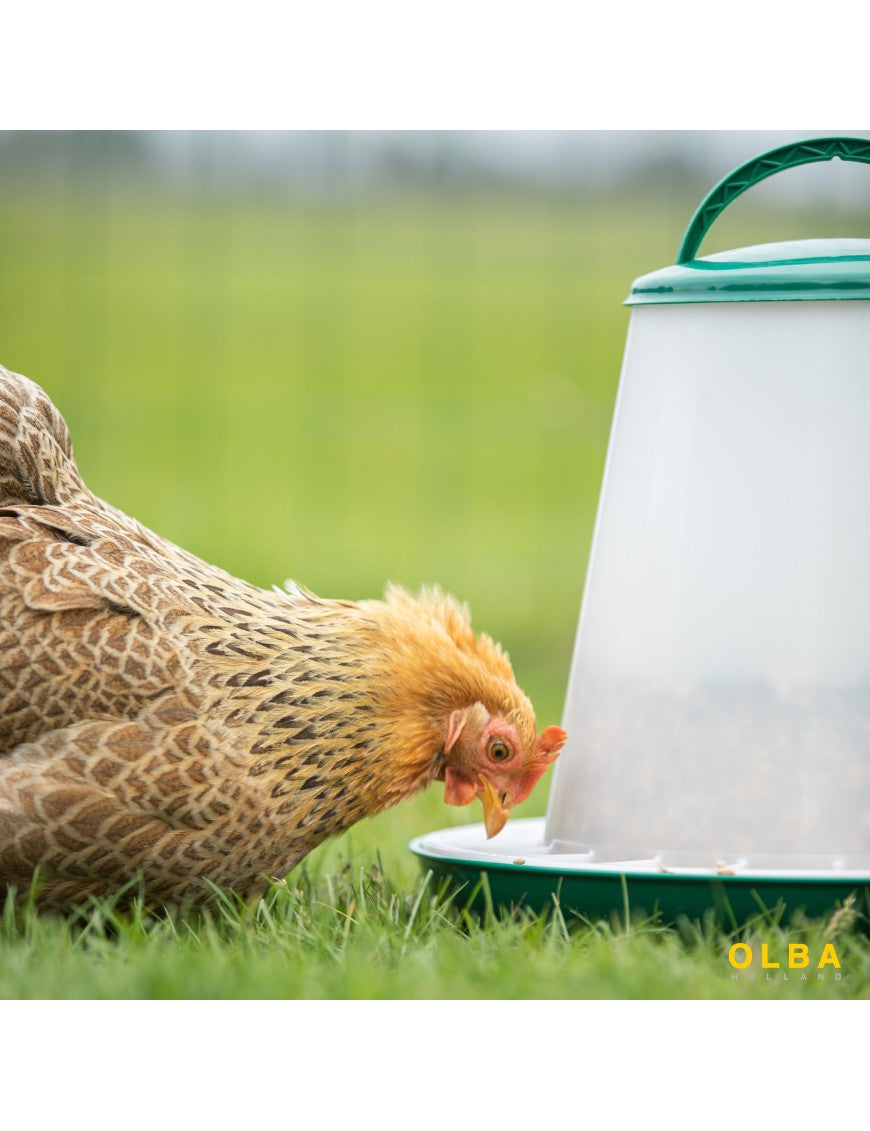 Mangeoire poule et poussin silo anti-gaspillage 6 kg