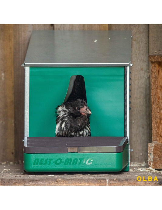 Pondoir automatique premium Nestomatic